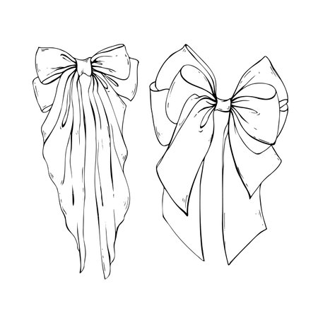 Set of large wide bows coquette with long tails textile from satin and silk ribbons. Illustration hand-drawn in black ink line art graphics. For women, girls, holidays, decoration, accessories, gifts.のイラスト素材