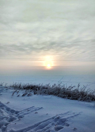 winter, snow, landscape, cold, sky, nature, tree, frost, ice, forest, white, sunset, mountain, treesの写真素材