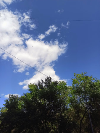 sky, clouds, tree, cloud, nature, landscape, trees, summer, green, blue, grass, weather, sun, airの写真素材