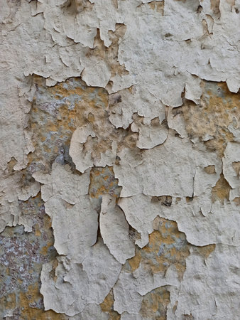wall, texture, old, rough, grunge, bark, concrete, pattern, surface, tree, stone, textured