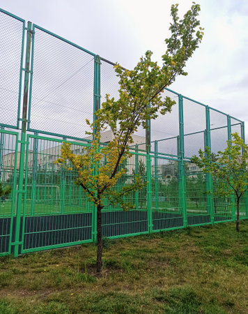 Tree with green leaves in the park against the background of the fenceの写真素材