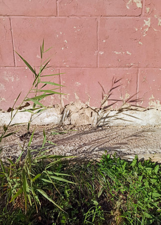 Old brick wall and green grass. Background and texture for design.の写真素材
