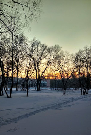Winter landscape with trees in the city park at sunset. Russia.の写真素材