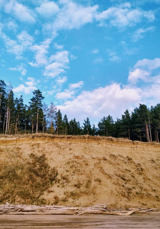 sand dunes in Gauja National Park, Latvia, Baltic seaの写真素材