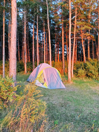Camping tent in the forest at sunset. Beautiful summer landscape.の写真素材
