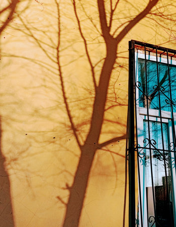 Window with shadow of a tree on a wall in Barcelona, Spain