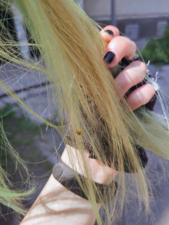 Hair in the hands of a girl. Close-up.の写真素材