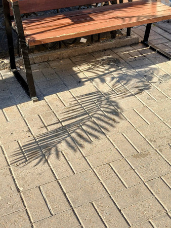 Wooden bench with shadow from palm leaf on the paving slabs