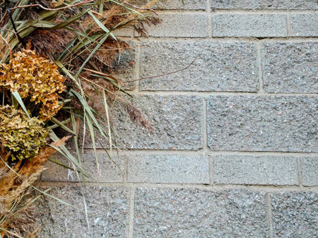 Dried flowers and plants on the background of a gray brick wall