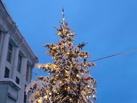 Christmas tree in the city center. Christmas and New Year background.の写真素材