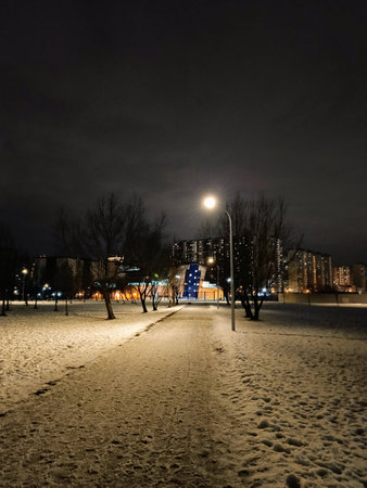 Night city park in the center of Moscow, Russia. Winter landscape.の写真素材