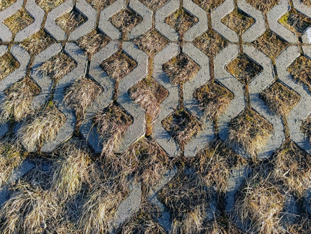 Stone paving slabs on the ground in the city park. View from above.の写真素材