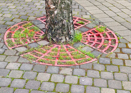 Tree stump and red circle in the park. The concept of ecology.の写真素材