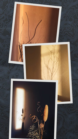 Set of photos on a dark background. Photo collage for your design.