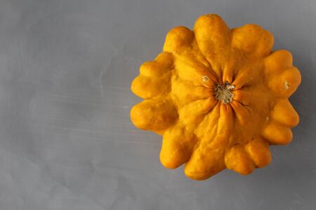 Autumn yellow squash on gray backgroundの写真素材