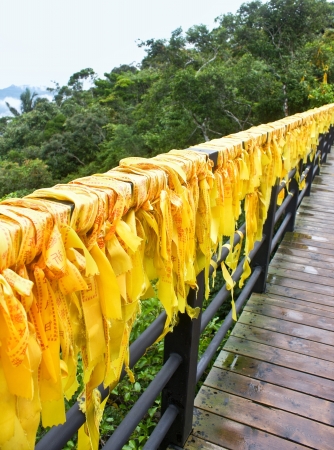 Yellow ribbons in Yalong Bay Tropical Parkの写真素材