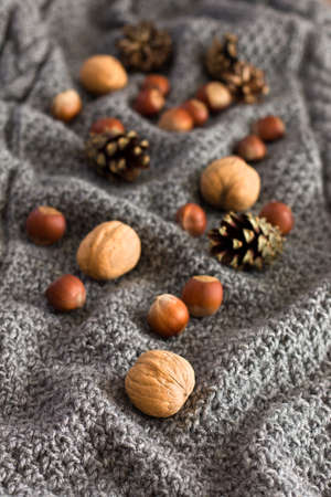 Christmas decoration with pine cones and nuts on a knitted backgroundの写真素材