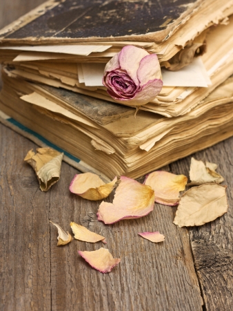 Dry rose and old books on a wooden backgroundの写真素材