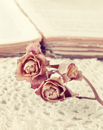 dry rose on the book in vintage styleの写真素材