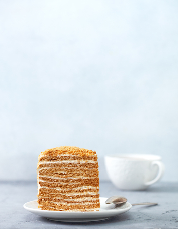 Piece of homemade honey cake on a white plate on a gray concreteの写真素材