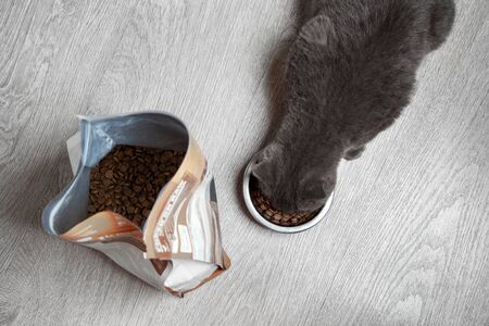 Kitten eats dry food from a metal bowl, a pack of dry food on a gray floor.の写真素材
