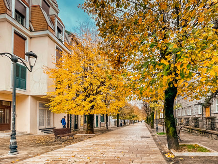 autumn golden avenue lined with trees, modern facades and patterned pavement, empty pedestrian corridorの写真素材
