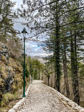 Lamplined trail through pine forest leading toward distant snowcapped peaks, gravel walkway flanked...