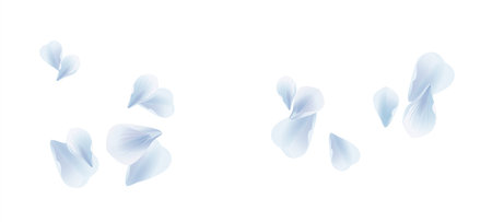 Petals Roses Flowers. Blue White Sakura flying petals isolated on white background. Vector EPS 10, cmykのイラスト素材