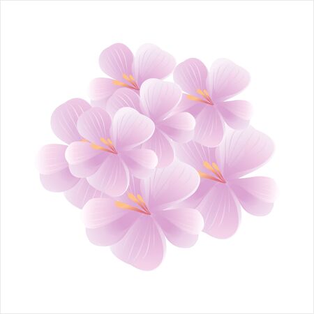 Bouquet of Sakura isolated on white background. Apple-tree flowers. Cherry blossom.のイラスト素材