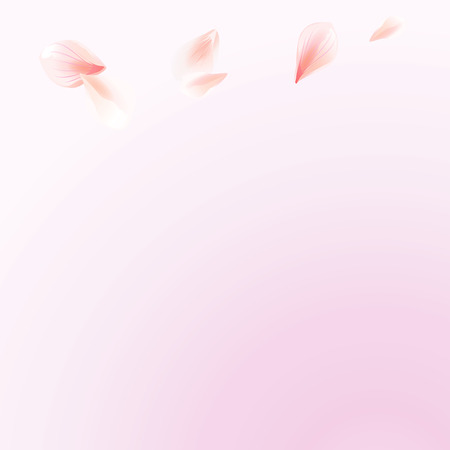 Light Pink flying petals isolated on soft Pink gradient background. Sakura Roses petals. Square. Vector EPS 10 cmykのイラスト素材