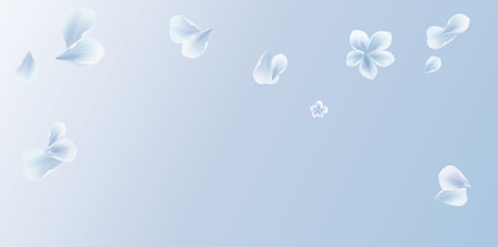 Blue gradient background. Sakura petals.のイラスト素材