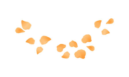Yellow flying petals isolated on White background. Watercolor Flower Roses petals. Vector EPS 10 cmykのイラスト素材
