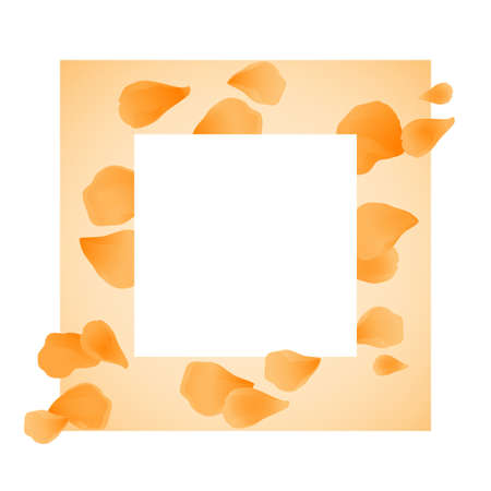 Petal frame. White square for text on Yellow background with flower petals. Vector EPS 10 cmykのイラスト素材