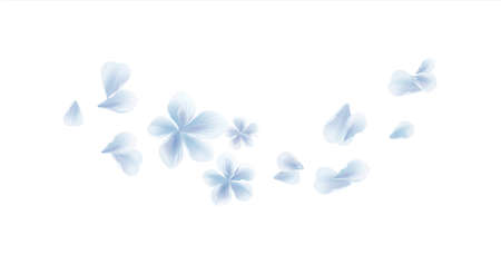 White Blue flying flower and petals isolated on White background. Sakura petals. Vector EPS 10 cmykのイラスト素材