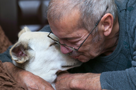 A mature man owner hugs his white dog. Close-up portrait. High quality photoの写真素材