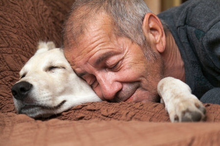 Close-up of adult man hugging his white dog and smiling. Indoor portrait.の写真素材