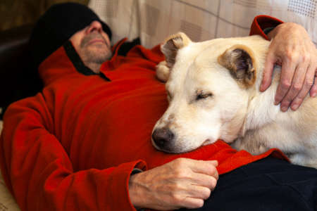 Adult male dog owner sleeps with his pet on the couch .High quality photoの写真素材