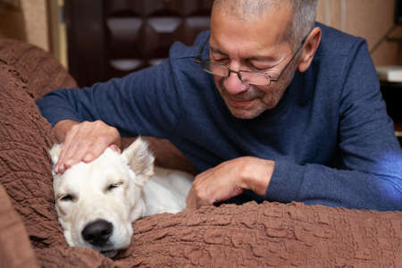Male owner petting his white dog sleeping on the couch. Close-up portrait.の写真素材