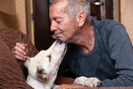 White dog licks his masters chin. High quality.の写真素材