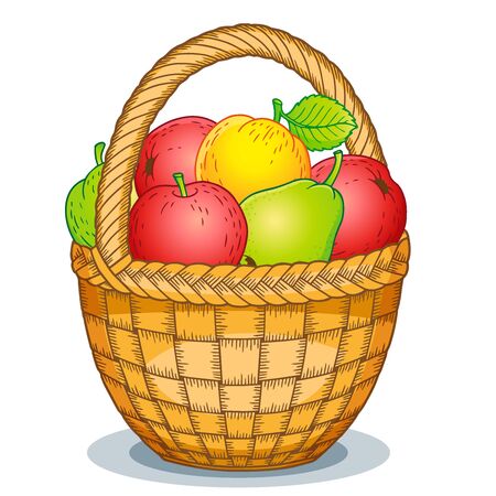 Cartoon style illustration. Harvest of ripe apples and pears in a basket. Thanksgiving Day.のイラスト素材