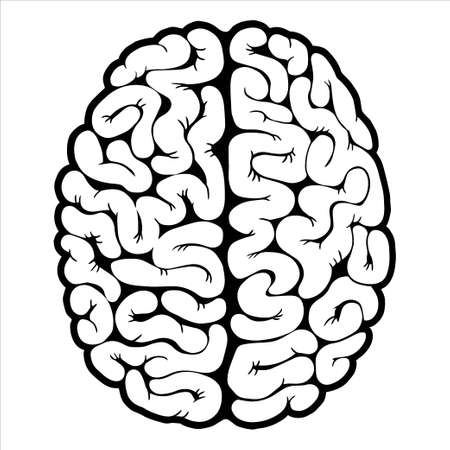 Brain, mind or intelligence flat vector icon for illustration design for your web design and printのイラスト素材