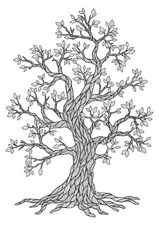 Vector Doodle Blossom Tree in spring. Coloring Book for Adult Meditationのイラスト素材