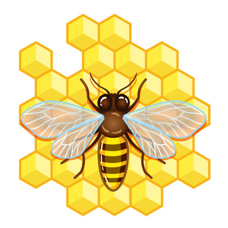 Vector illustration. Bee on yellow honeycombs with honeyのイラスト素材