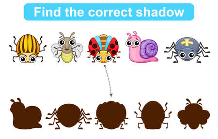 Find correct shadow. Kids educational game. Set of Insects to find the correct shadowのイラスト素材