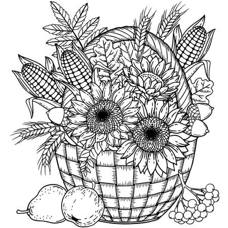 Autumn harvest in a basket for thanksgiving day. Vector coloring page book for adult. Black and white basket with leaves, sunflower, corn, apple, pear, acorn and pumpkinのイラスト素材
