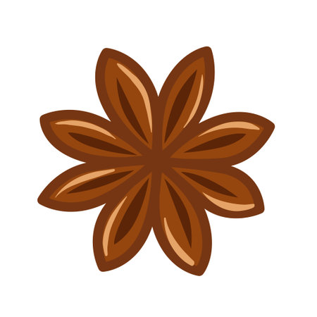 Vector illustration of spices. Dry star aniseのイラスト素材