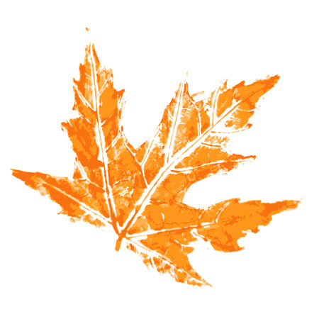 Print of orange maple Autumn leaves with painted watercolor by handのイラスト素材