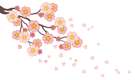 Sakura blossom branch. Vector background for Women's Day, Valentine's Day, Mother's Day and Wedding Dayのイラスト素材
