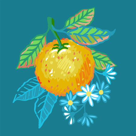 Vector hand drawn illustration of branches orange tree with fruit, leaves and flowers. Illustrations of bright ripe citrus fruit in the style of pencils sketchのイラスト素材