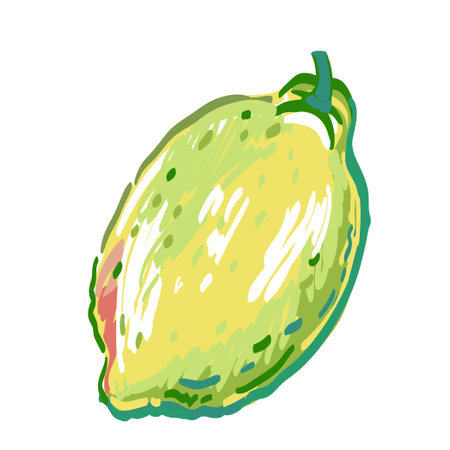 Vector hand drawn illustration of branches lemon tree with fruit, leaves and flowers. Illustrations of bright ripe citrus fruit in the style of pencils sketchのイラスト素材
